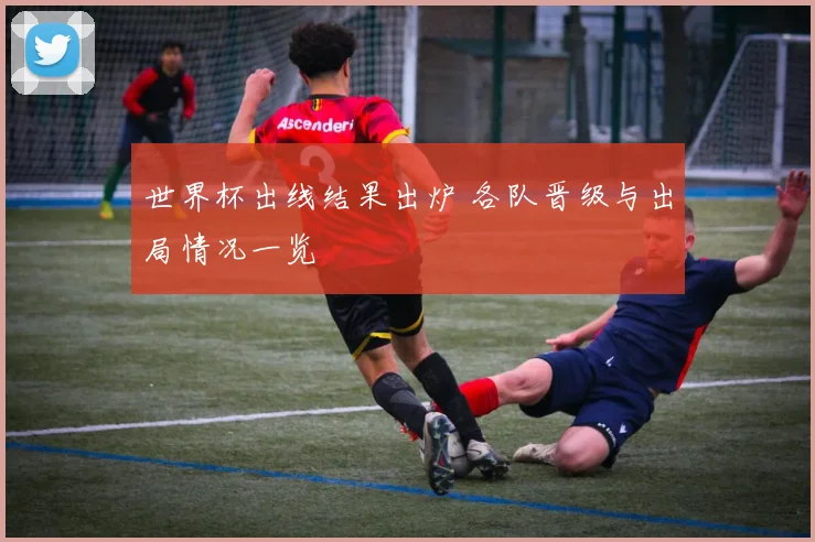 世界杯出线结果出炉 各队晋级与出局情况一览